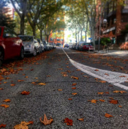 Surface level of road amidst autumn leaves in city