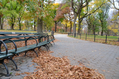 Empty bench in park during autumn