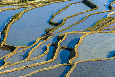 High angle view of water on beach