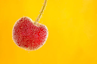 Close-up of heart shape against orange background