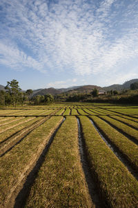 Scenic view of field against cloudy sky