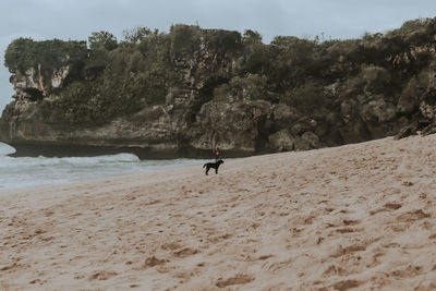 People on beach by sea against sky