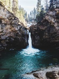 Scenic view of waterfall in forest