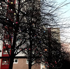 Low angle view of trees against sky