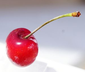 Close-up of apple on red background