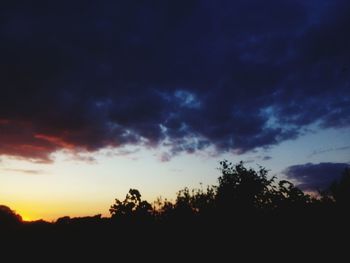 Silhouette of trees at sunset