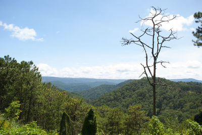 Scenic view of tree mountains against sky