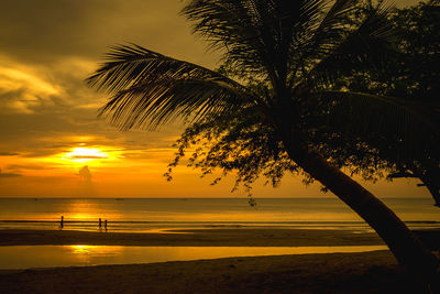 Silhouette palm tree by sea against sky during sunset