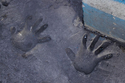 High angle view of footprints on wet sand