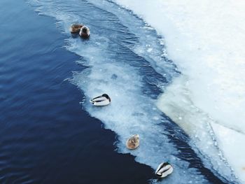 High angle view of water