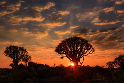 Silhouette trees against sky during sunset