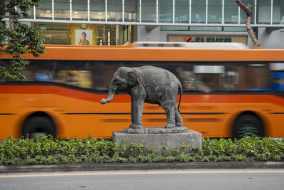 bus