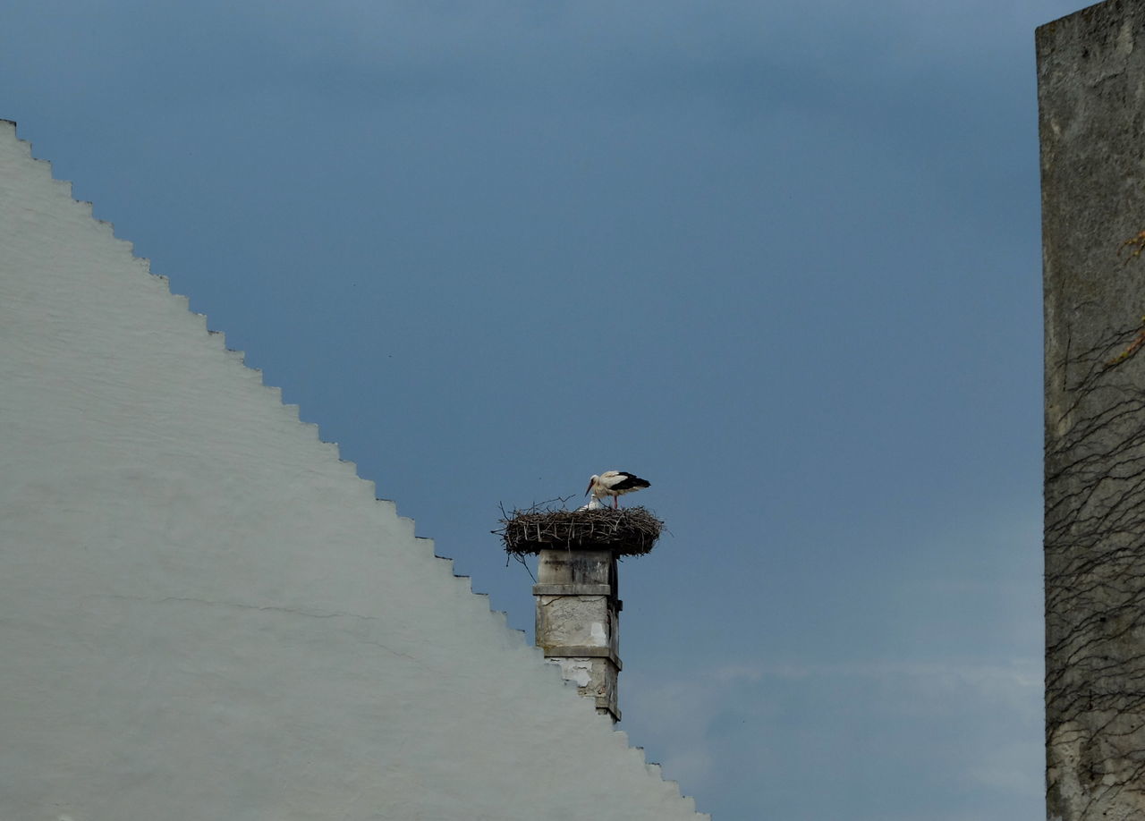 Stork´s nest