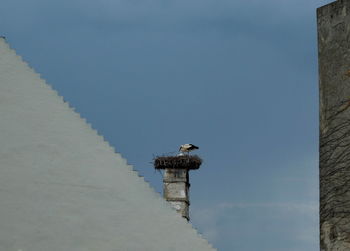 Low angle view of bird perching on pole against sky