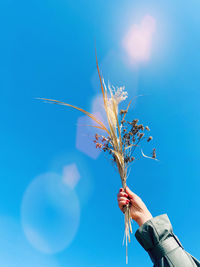 Person holding umbrella against blue sky