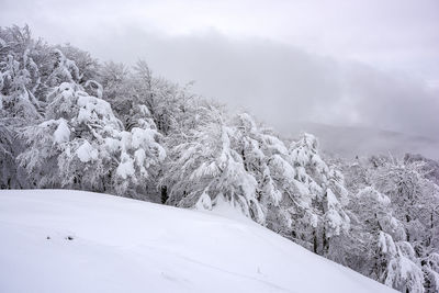 Scenic view of snow covered mountains against sky