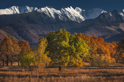 Snowcapped fagaras mountains in an autumn landscape.