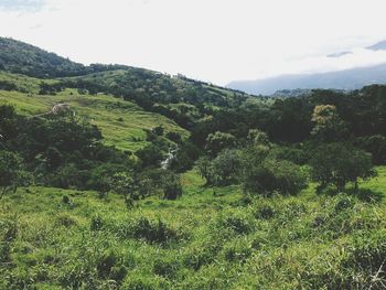 Scenic view of mountains