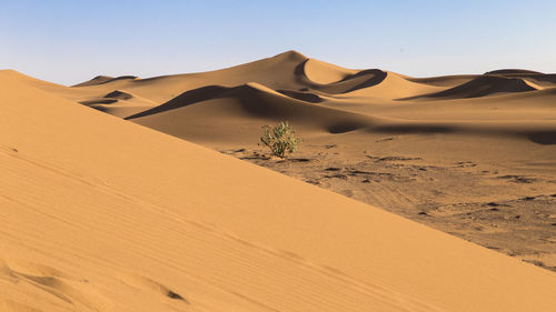 Sand dunes in desert against clear sky