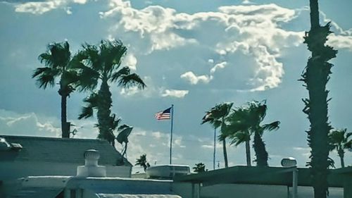 Palm trees against cloudy sky