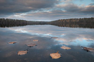 Beautiful picturesque forest lake in the autumn. focus on the foreground