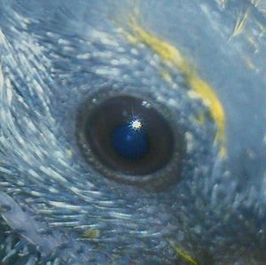 Full frame shot of tiled floor