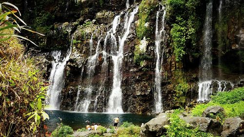 Scenic view of waterfall in forest