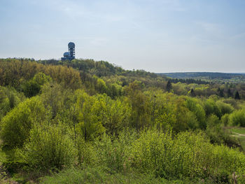 Scenic view of trees on field against sky