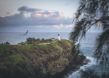 Kilauea lighthouse in the morning, hawaii, kauai