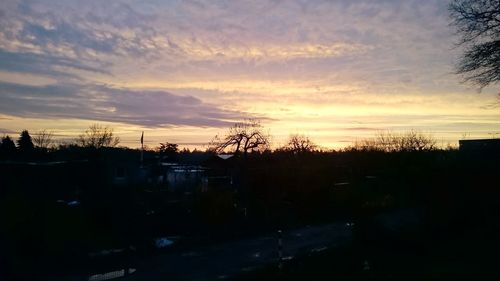 Silhouette of trees at sunset