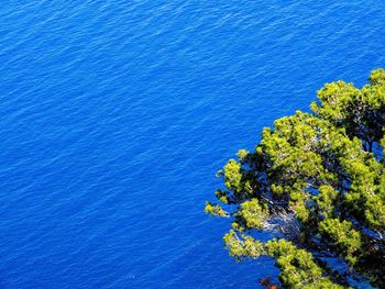 Scenic view of sea against blue sky