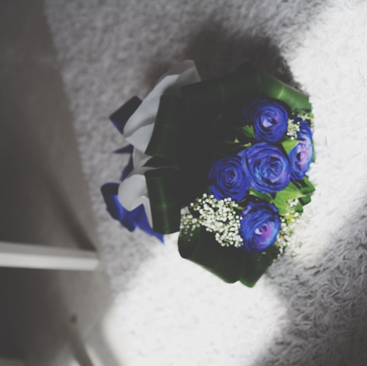 indoors, close-up, flower, high angle view, still life, toy, focus on foreground, no people, white color, day, blue, selective focus, table, childhood, reflection, built structure, purple, winter, wall - building feature