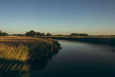 Scenic view of lake against clear blue sky