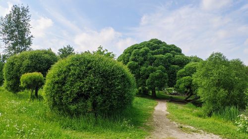 Panoramic view of green landscape against sky