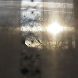 Close-up of bare trees against sky during sunset