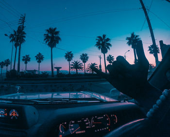 Palm trees against sky seen through car windshield