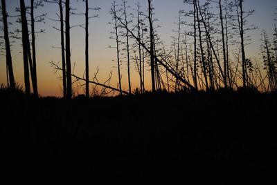 Silhouette of landscape at sunset