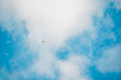 Low angle view of bird flying in sky