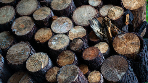 Full frame shot of logs in forest