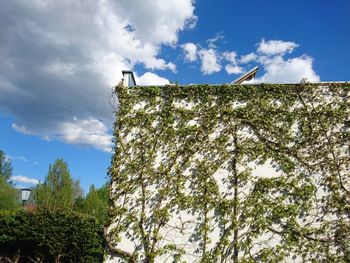 Low angle view of building against blue sky