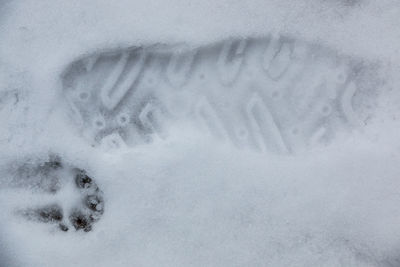 Close-up of snow