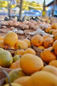 Close-up of orange fruits in market