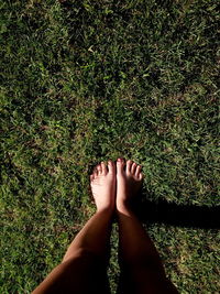 Low section of person legs on grass