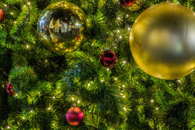 Close-up of christmas decorations hanging on tree