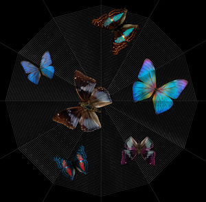 Digital composite image of multi colored flowers