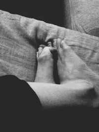 Close-up of a sleeping cat