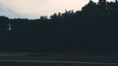 Road by trees in forest against sky