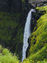 Scenic view of waterfall in forest