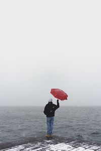 Rear view of person standing in sea against sky