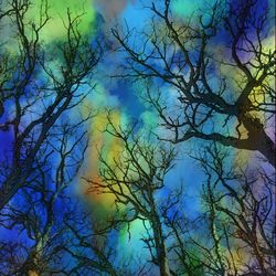 Low angle view of bare trees against blue sky